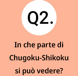 Q2.In che parte di Chugoku-Shikoku si può vedere?